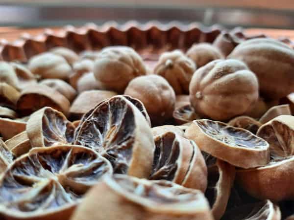 تصویر 3 از قیمت لیمو ترش عمانی + خرید باور نکردنی